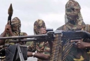 Niger Delta Militants