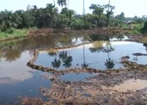 Oil spill in the Niger Delta, Nigeria
