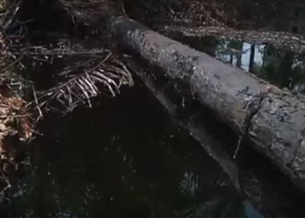 Niger Delta region - Oil spill.