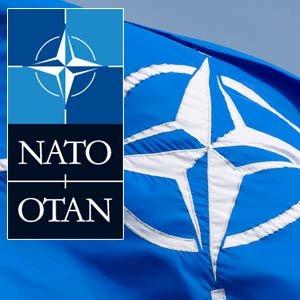 North Atlantic Treaty Organization (NATO)