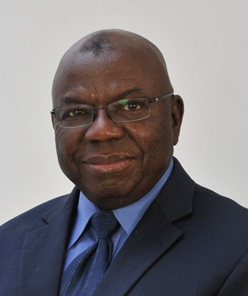 Iyorwuese Hagher. (Image credit: African Leadership Institute, United States)