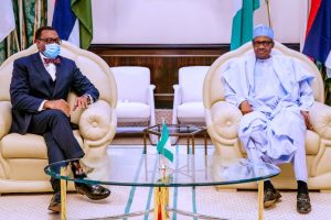 Nigeria's President Muhammadu Buhari (R) and President of the African Development Bank (AfDB), Dr Akinwumi Adesina (L)